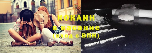 прущие грибы Кукмор