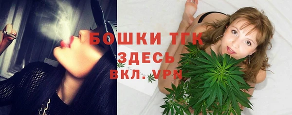 прущие грибы Кукмор