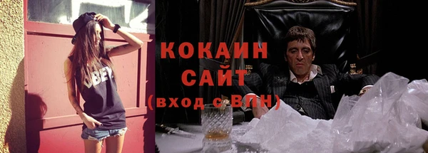 ГАЛЛЮЦИНОГЕННЫЕ ГРИБЫ Кулебаки