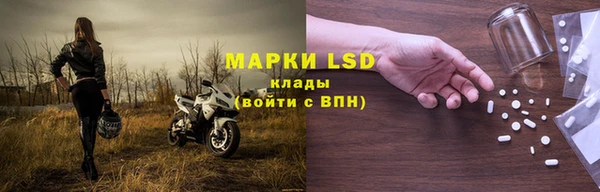 прущие грибы Кукмор