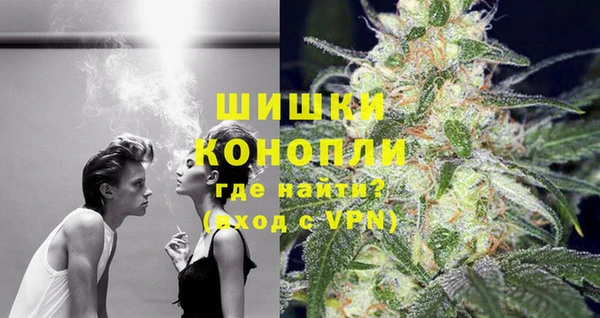 ГАЛЛЮЦИНОГЕННЫЕ ГРИБЫ Кулебаки