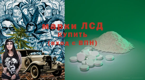 прущие грибы Кукмор