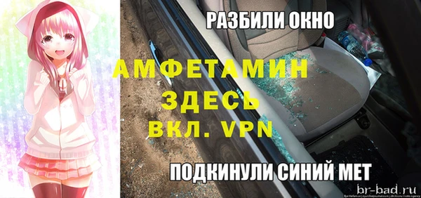 прущие грибы Кукмор