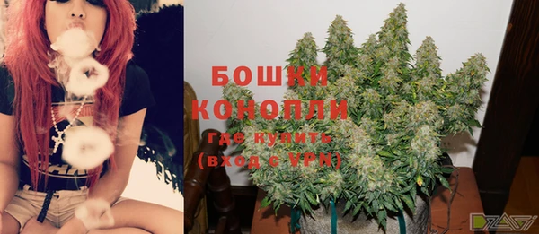 мдпв Навашино