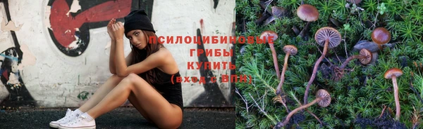 прущие грибы Кукмор