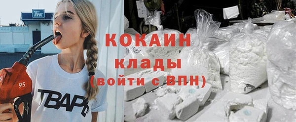 прущие грибы Кукмор